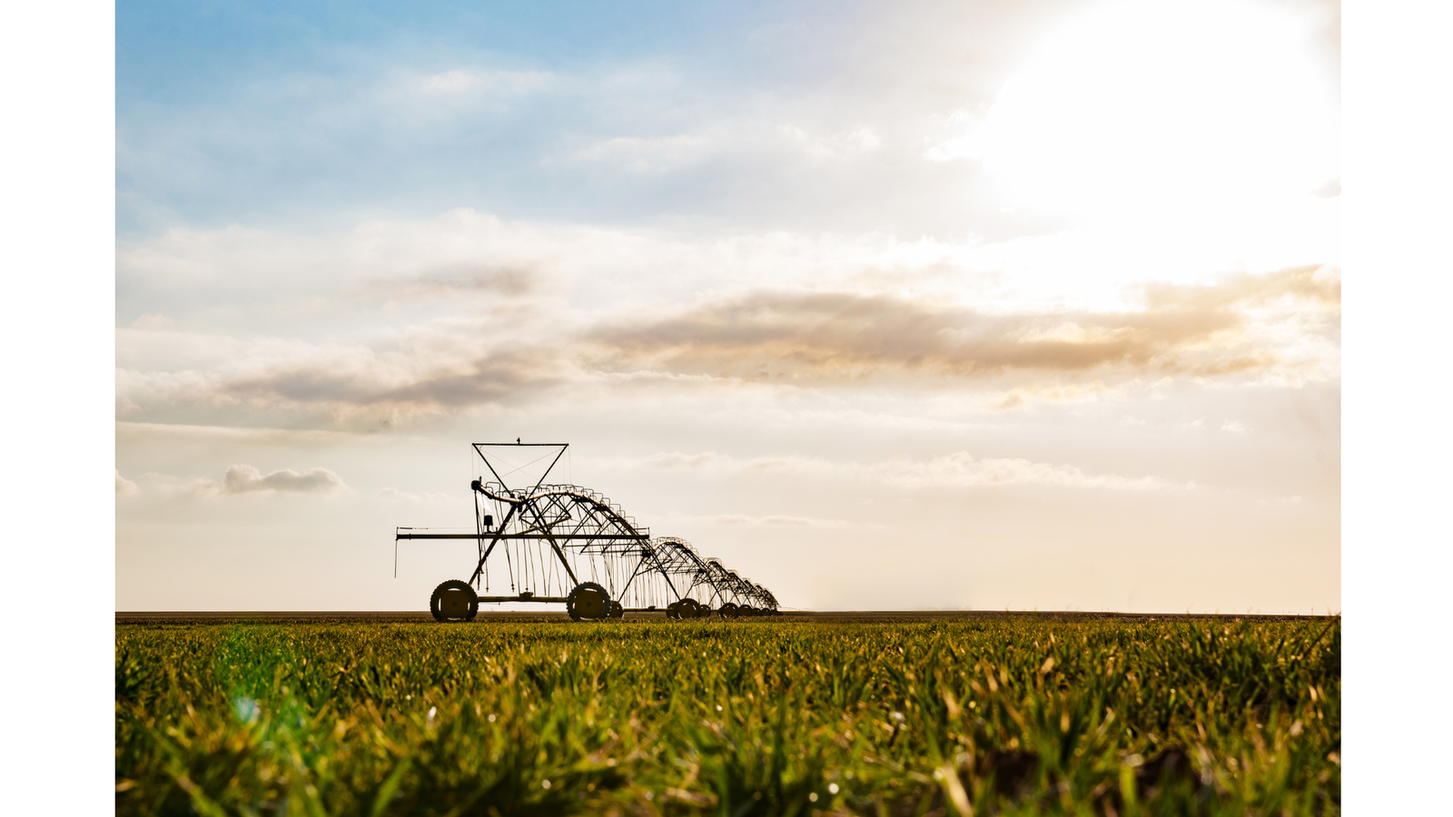 Irrigação ao pôr do sol